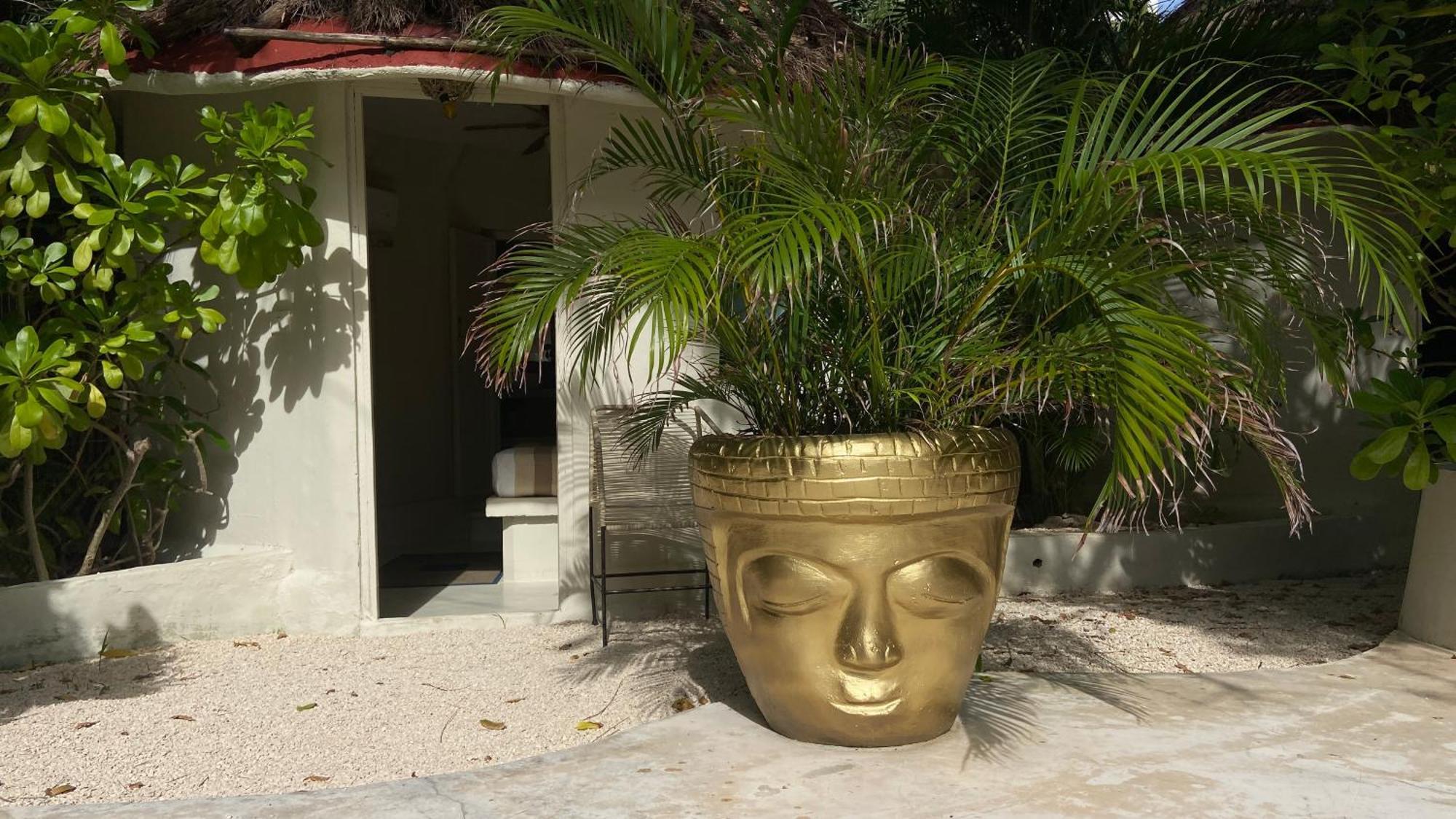 Nature Stay (Adults Only) Playa del Carmen Exterior foto