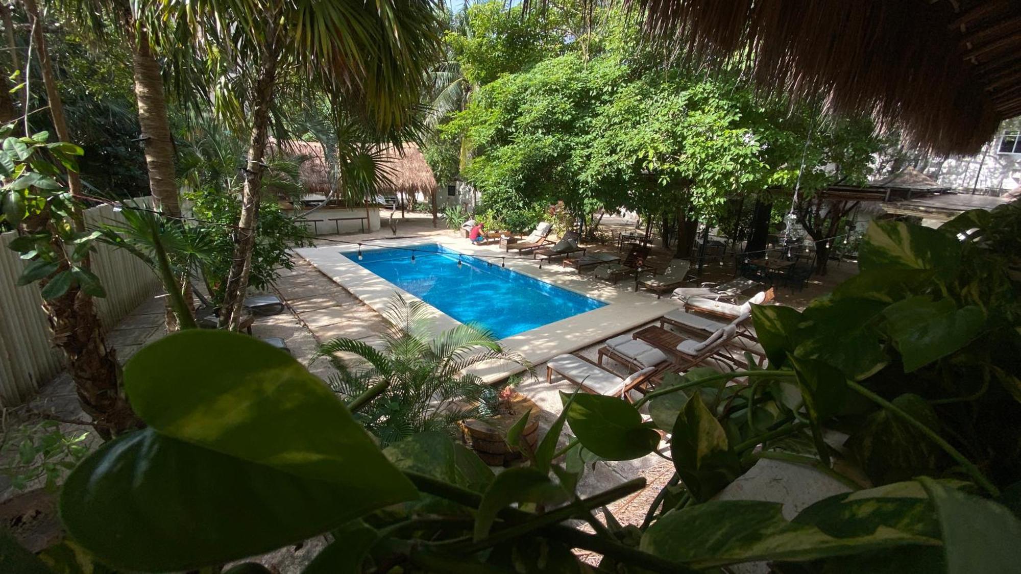 Nature Stay (Adults Only) Playa del Carmen Exterior foto