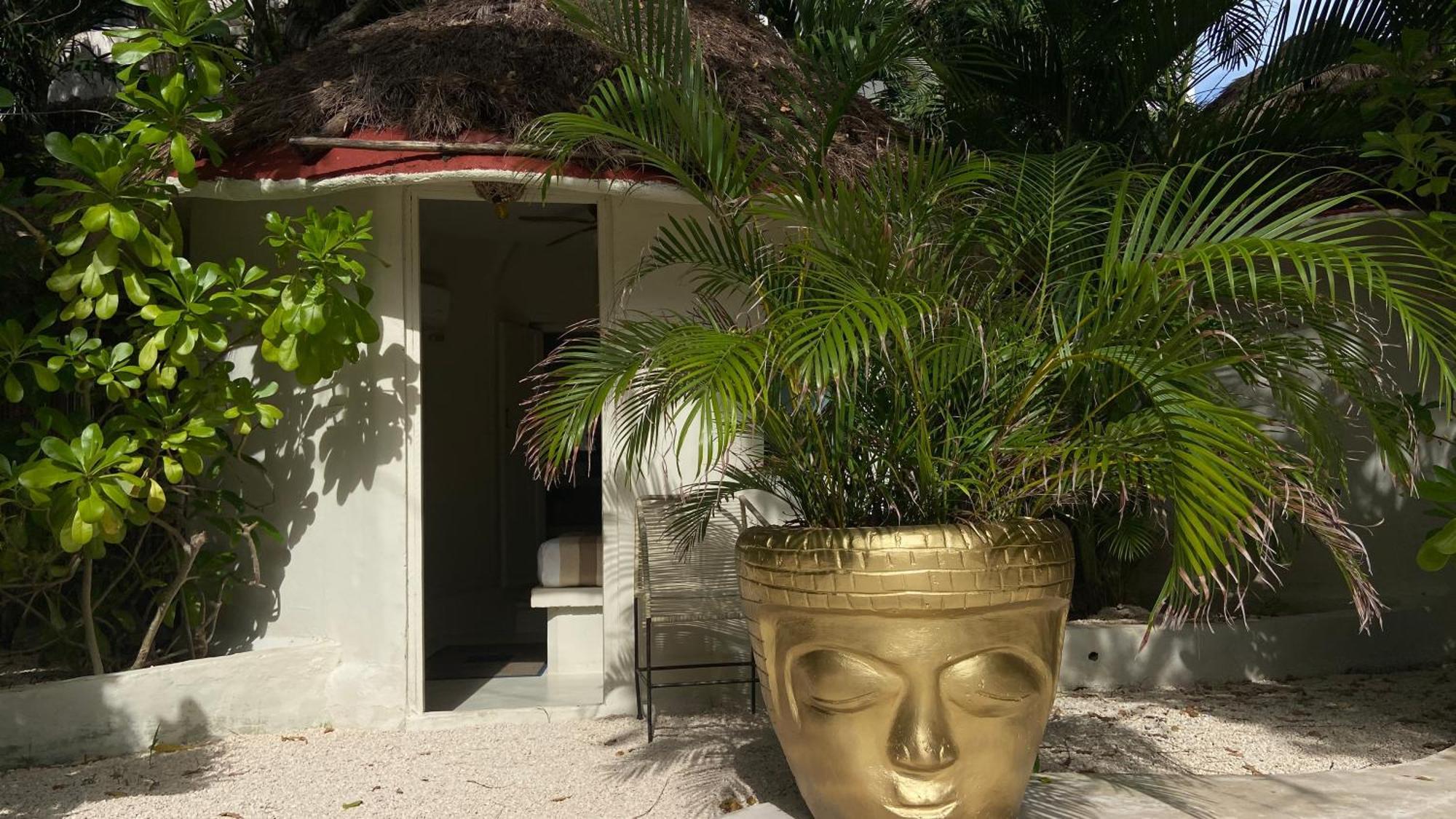Nature Stay (Adults Only) Playa del Carmen Exterior foto